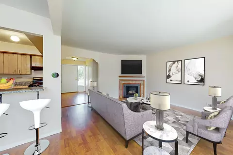 1009 Spring Mill Dr, Hoffman Estates, IL 60169 photo 5
