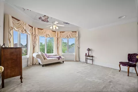 17703 S Richmond Rd, Plainfield, IL 60586 photo 25