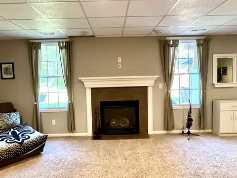 10 Hidden Grove Ln, Spring Valley, IL 61362 photo 39