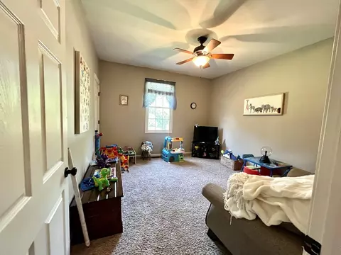 10 Hidden Grove Ln, Spring Valley, IL 61362 photo 29