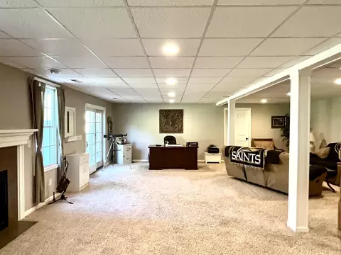 10 Hidden Grove Ln, Spring Valley, IL 61362 photo 41