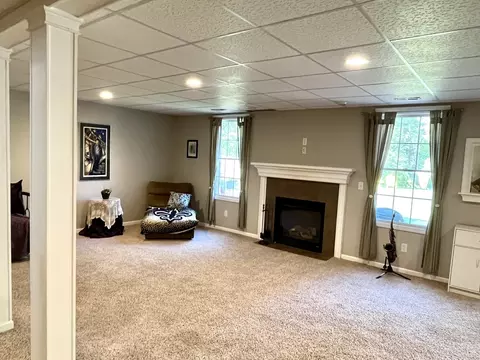 10 Hidden Grove Ln, Spring Valley, IL 61362 photo 38