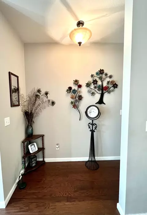 10 Hidden Grove Ln, Spring Valley, IL 61362 photo 20