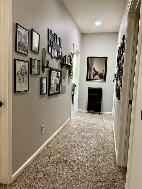 10 Hidden Grove Ln, Spring Valley, IL 61362 photo 32