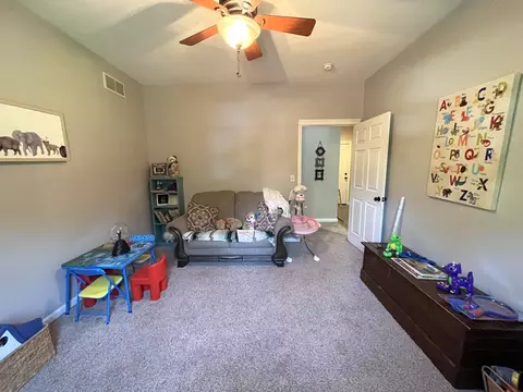 10 Hidden Grove Ln, Spring Valley, IL 61362 photo 28