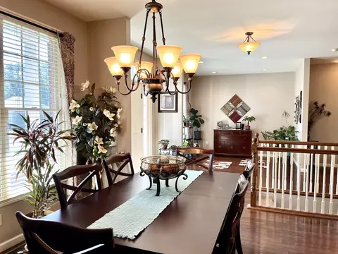 10 Hidden Grove Ln, Spring Valley, IL 61362 photo 19