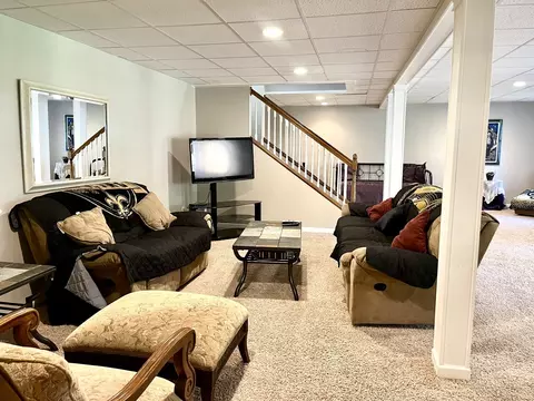 10 Hidden Grove Ln, Spring Valley, IL 61362 photo 40