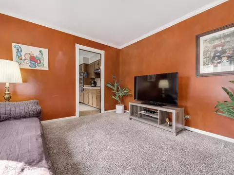 20735 London Dr, Olympia Fields, IL 60461 photo 9