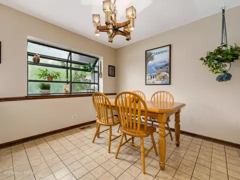 20735 London Dr, Olympia Fields, IL 60461 photo 15