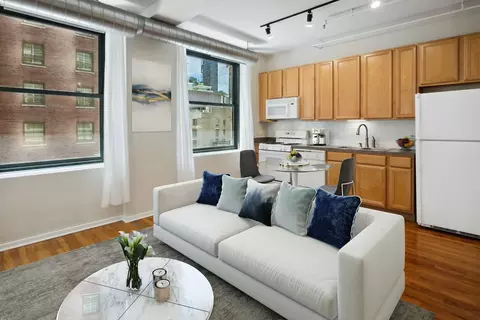6 E Monroe St #1103, Chicago, IL 60603 photo 3