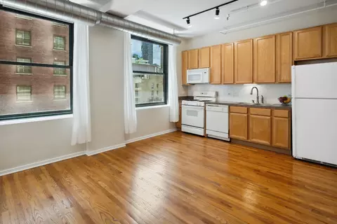6 E Monroe St #1103, Chicago, IL 60603 photo 6