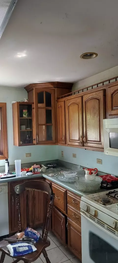 1020 Pine Bluff Rd, Morris, IL 60450 photo 5