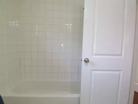 16340 Trumbull Ave, Markham, IL 60428 photo 17