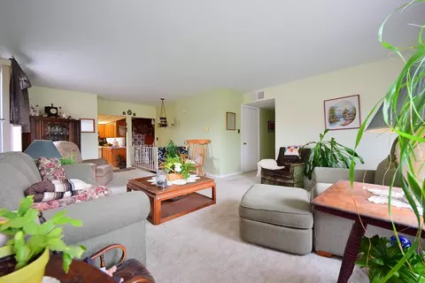 563 E Forest Ave, Des Plaines, IL 60018 photo 3
