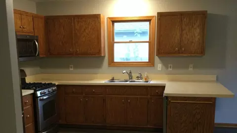 239 N Division St, Braidwood, IL 60408 photo 26