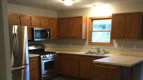 239 N Division St, Braidwood, IL 60408 photo 25