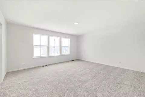118 Hedgerow Dr, Elgin, IL 60124 photo 17