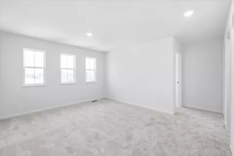 118 Hedgerow Dr, Elgin, IL 60124 photo 21
