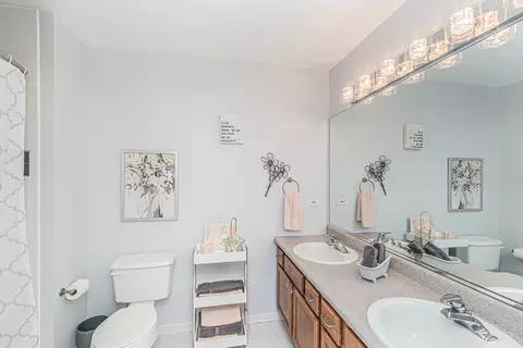2115 Colchester Ave, Hoffman Estates, IL 60192 photo 29