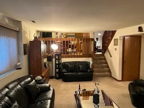 30 Red Barn Rd, Matteson, IL 60443 photo 13