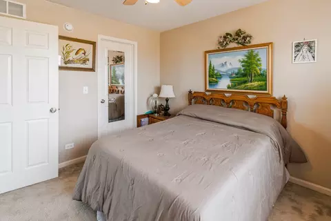 965 Como Cir, Hampshire, IL 60140 photo 10