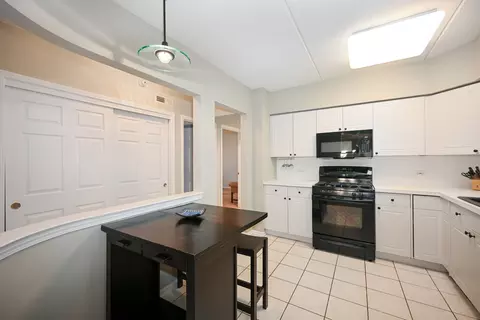 405 Front St #201, Wheaton, IL 60187 photo 5