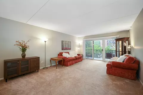 405 Front St #201, Wheaton, IL 60187 photo 9