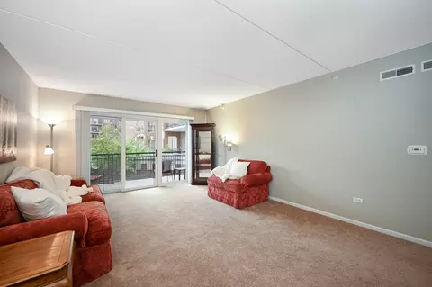 405 Front St #201, Wheaton, IL 60187 photo 10