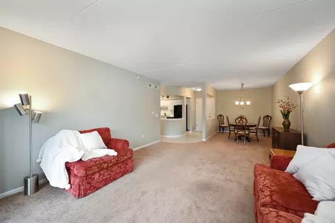 405 Front St #201, Wheaton, IL 60187 photo 11