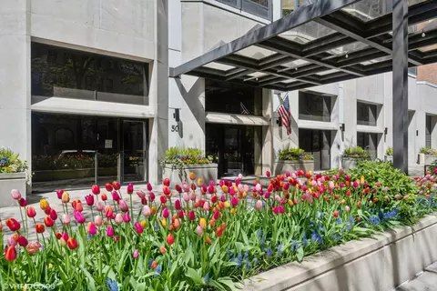 50 E Bellevue Pl #1503, Chicago, IL 60611