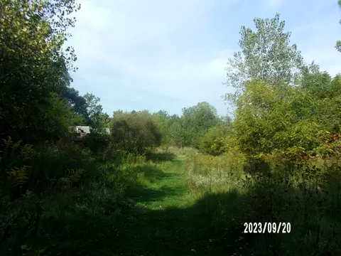 2788 E Twp 121 Rd, Sheldon, IL 60966 photo 10