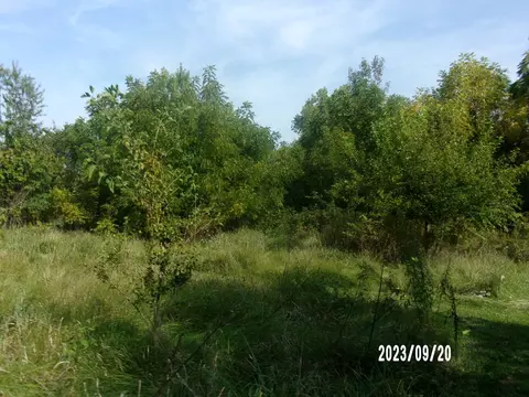 2788 E Twp 121 Rd, Sheldon, IL 60966 photo 9
