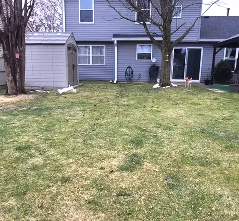 173 Dickens Trl, Elgin, IL 60120 photo 12