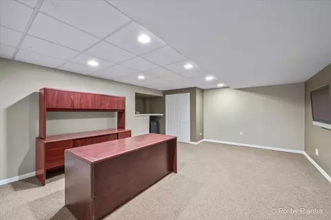 509 Deer Run, Spring Grove, IL 60081 photo 35