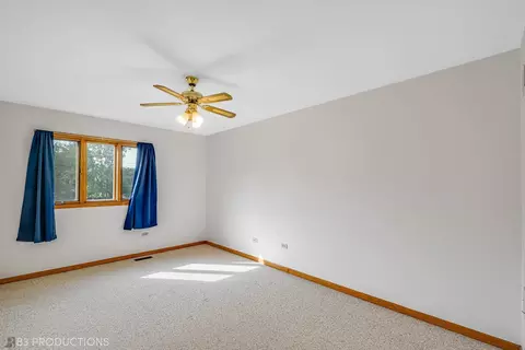 25943 S Ruby St, Monee, IL 60449 photo 17