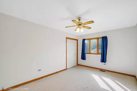 25943 S Ruby St, Monee, IL 60449 photo 18