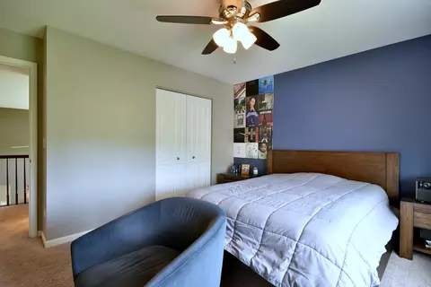 250 Norway Dr, Bartlett, IL 60103 photo 35