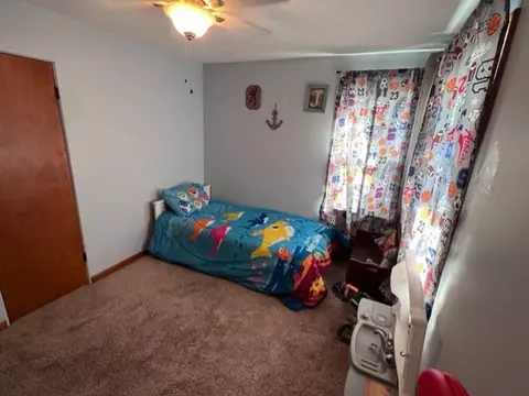 313 E Hennepin St, Mark, IL 61340 photo 18