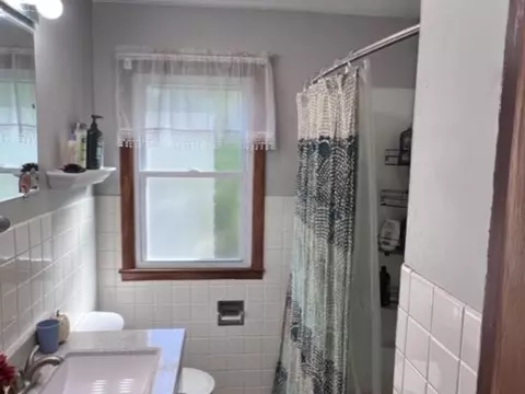 313 E Hennepin St, Mark, IL 61340 photo 20