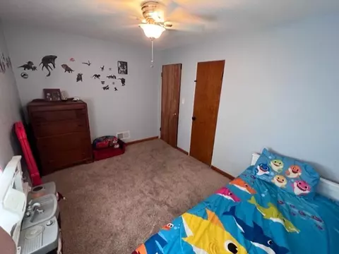 313 E Hennepin St, Mark, IL 61340 photo 19
