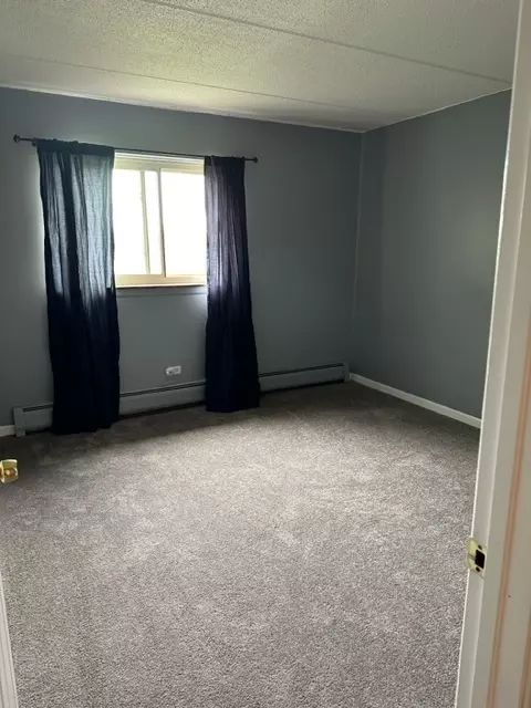 590 Fairway View Dr #3L, Wheeling, IL 60090 photo 10
