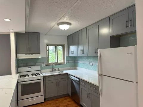590 Fairway View Dr #3L, Wheeling, IL 60090 photo 2