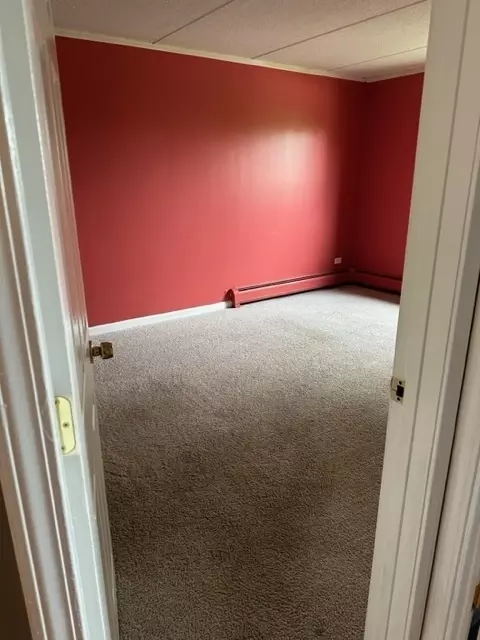 590 Fairway View Dr #3L, Wheeling, IL 60090 photo 11