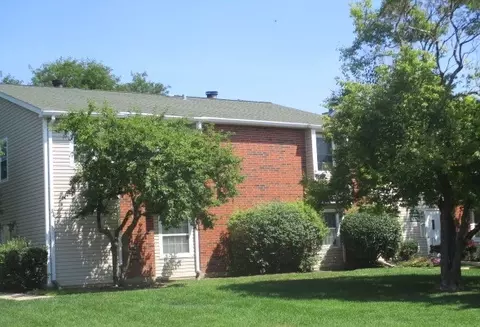 1376 E Wyndham Cir #204, Palatine, IL 60074