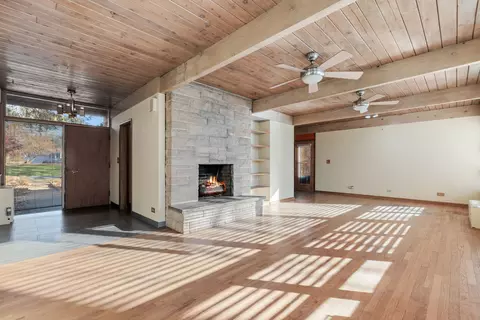 101 E Thorndale Ave, Roselle, IL 60172 photo 3
