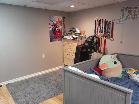 821 Perry Dr, Algonquin, IL 60102 photo 16