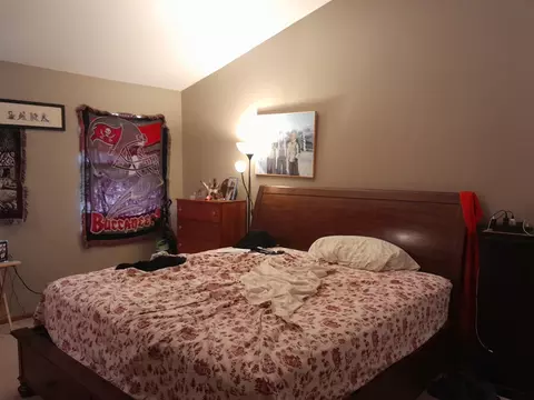 821 Perry Dr, Algonquin, IL 60102 photo 8