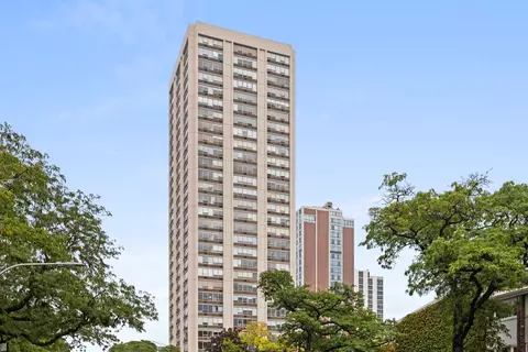 70 W Burton Pl #2907, Chicago, IL 60610