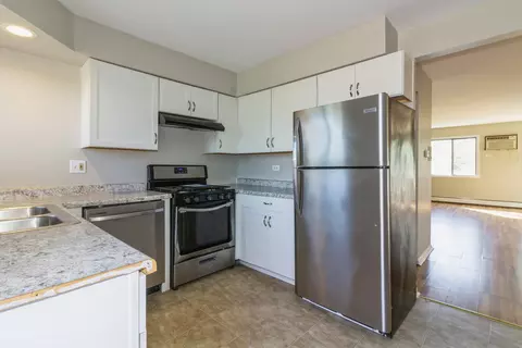 390 Echo Ln #3, Aurora, IL 60504 photo 9