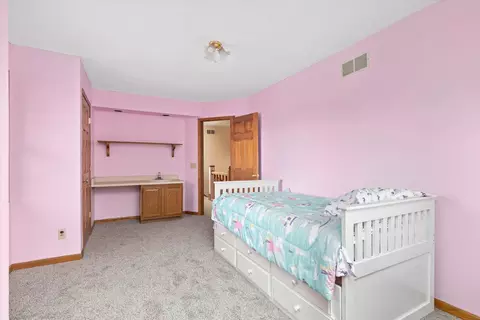 475 E Pine Meadow Ct, Morris, IL 60450 photo 29